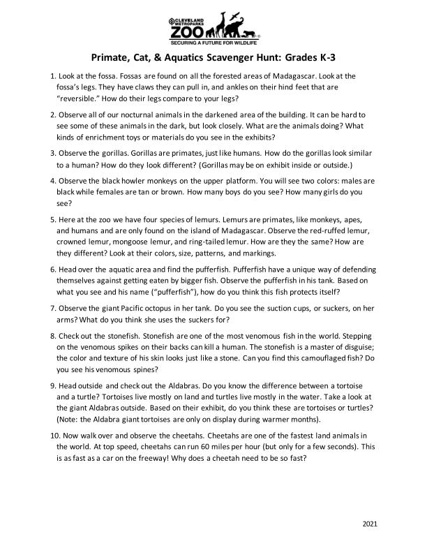 K-3 Primates, Cats, and Aquatics thumbnail