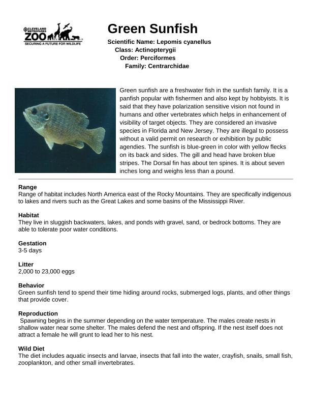 Sunfish, Green Animal Fact Sheet thumbnail