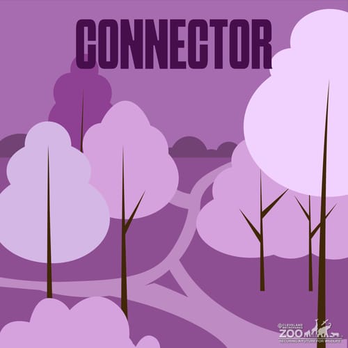 Connector archetype square