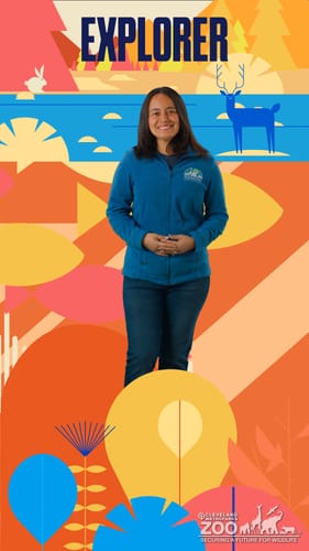 Cindy Saldana, Conservation Ecology Field Assistant- Cleveland Metroparks Zoo