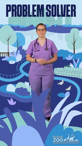 Hannah Michalski, Veterinary Student - Zoo Crew Teen Alum, Cleveland Metroparks Zoo