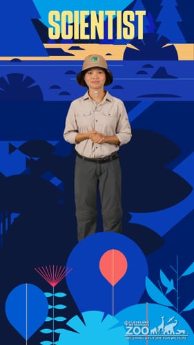 Thuy Nguyen, Animal Manager - Indo-Myanmar Conservation's Asian Turtle Program, Vietnam