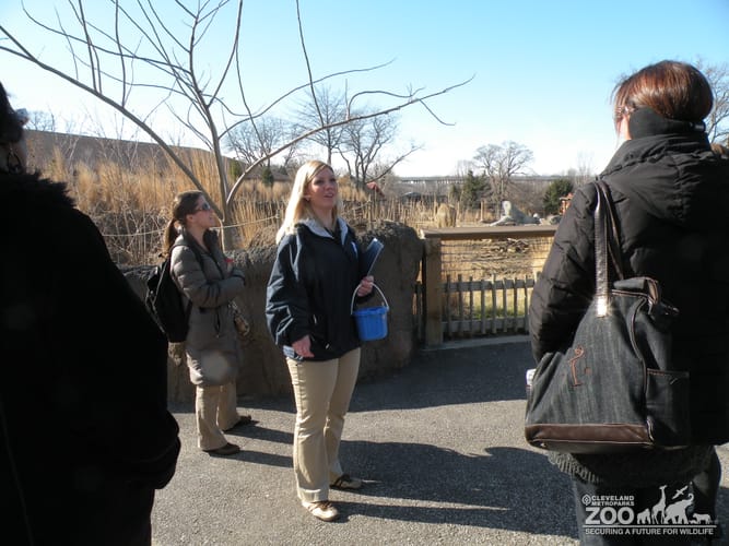 Stacey Educating during a Nurture the Wonder Program