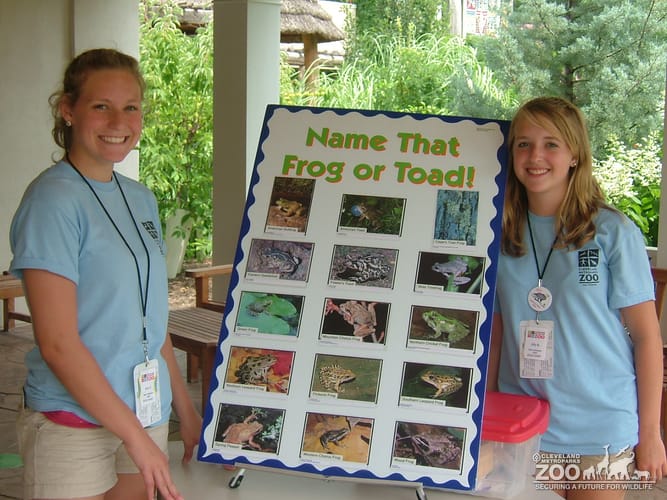 2008 Zoo Crew at Work