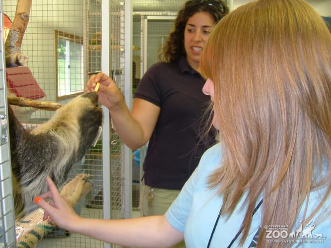 2008 Zoo Crew Behind the Scenes