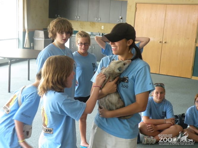 Summer Day Camp with Virginia Opossum 