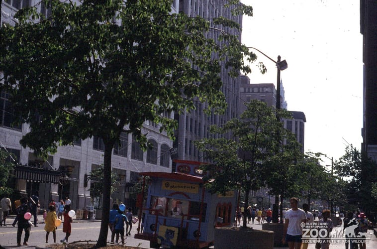 1987 - Square to Square 3