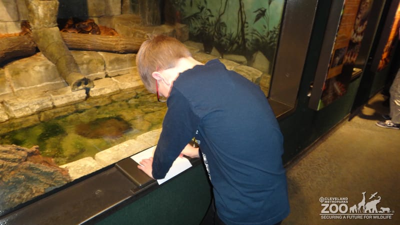 Home School Observer