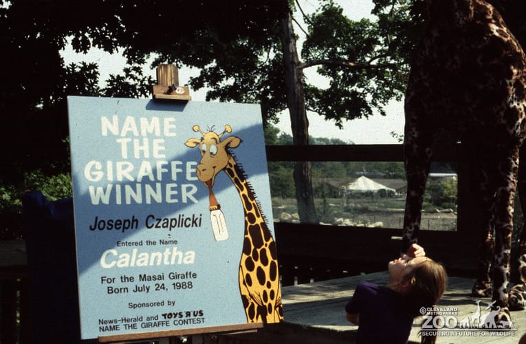 1988 - Name the Giraffe
