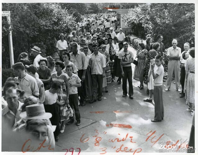 1951 - Zoo Crowd