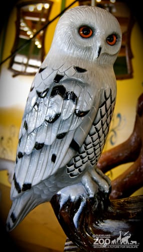 Snowy Owl - Carousel