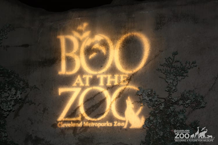 Boo at the Zoo