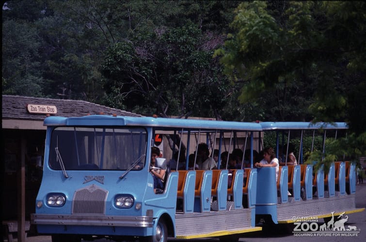 1987 - Trams & Tram Stops