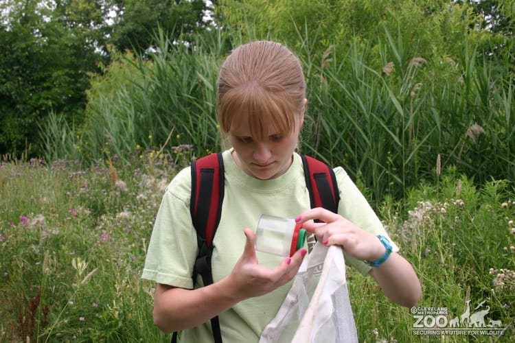 2007 Zoo Crew Butterfly Monitor