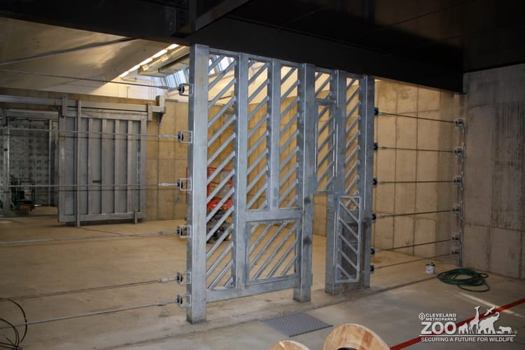 Wrapping up construction of vet care stall at AEC