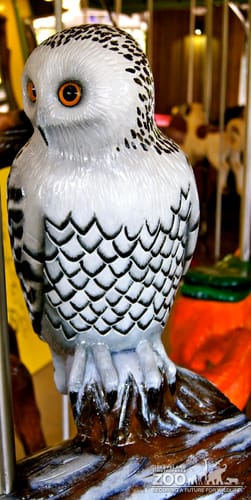 Snowy Owl - Carousel