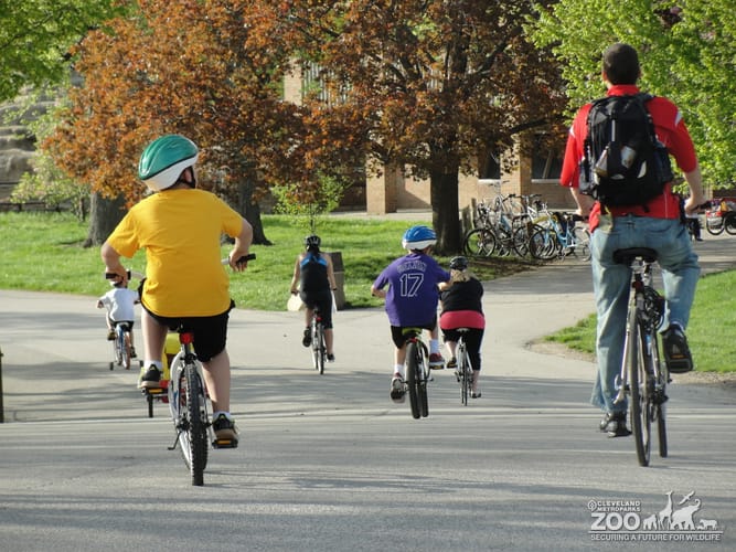Bikers at Wild Ride at the Zoo (2)