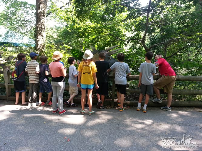 Home School Class at the Dinos Exhibit