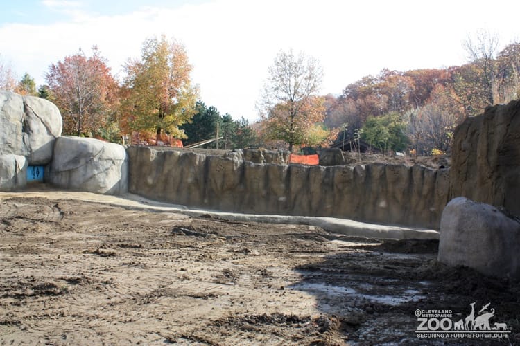 Savanna Range back pool construction