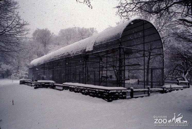 1985 - Outdoor Bird Cages