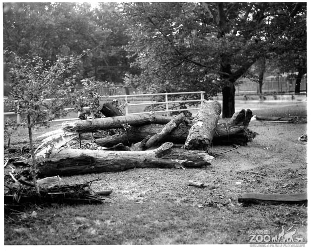 1964 - Flood Damage (2)