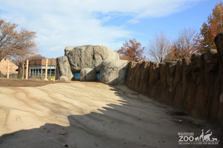 Savanna Range back pool construction with Kopje Rocks and Reinberger building