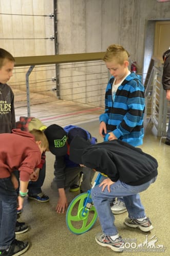 School Group Visitors Measuring in Connections to Africa Program
