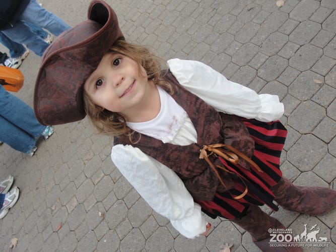 Boo at the Zoo: A Young Pirate