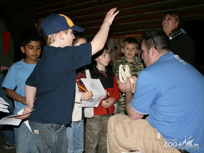 Overnight at Wolf Cabin 2