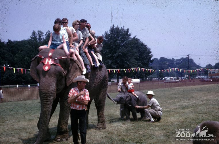 1966 - Elephant Ride