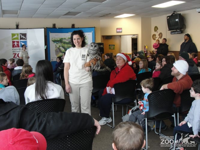 Katie with Barred Owl during Noon Year's Eve