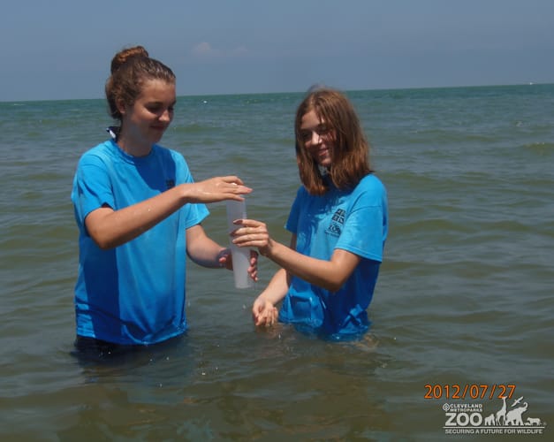 Zoo Crew Members Take Water Sample