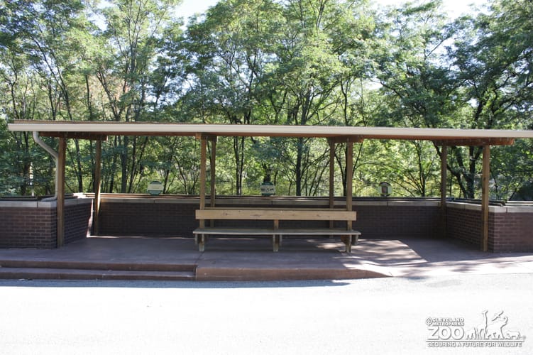Cheetah Enclosure Observation Deck