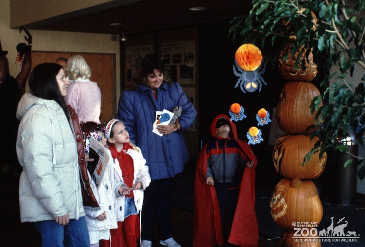 1988 - Start of "Boo" 4