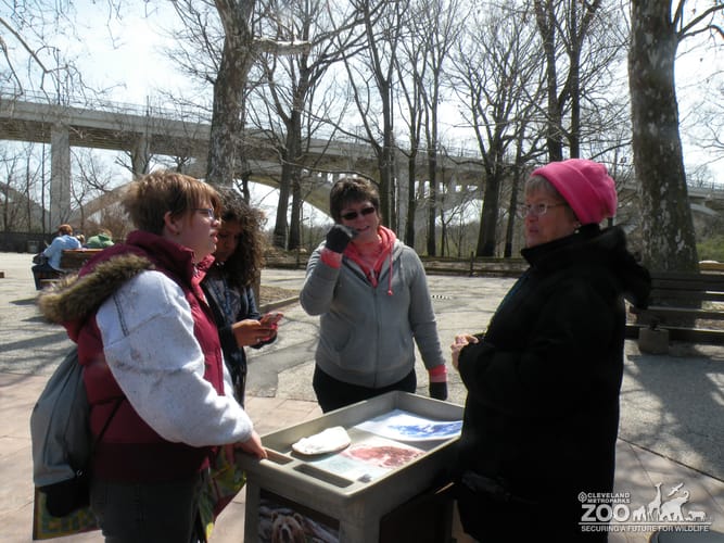 2013 Party for the Planet Jan Cudney