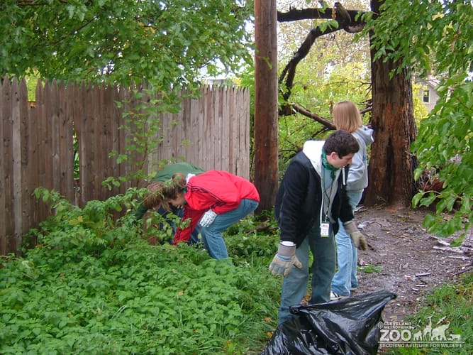 2008 Zoo Crew at Naturehood 2