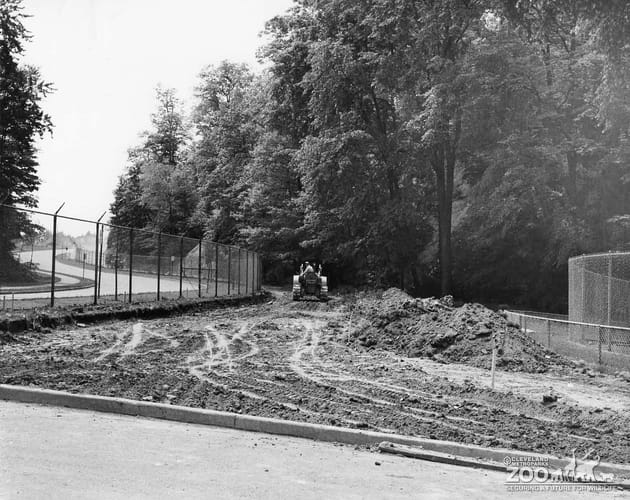 1954 - Construction of Service Road (2)