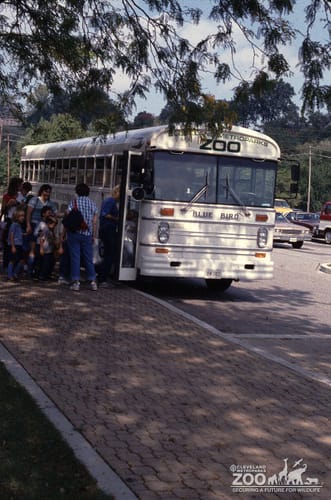 1986 - Zoo Bus 2