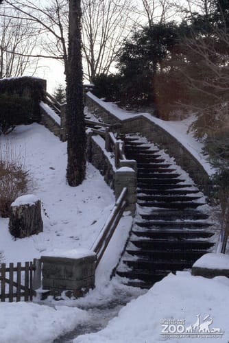 1982 - Steps at Pearl Rd.