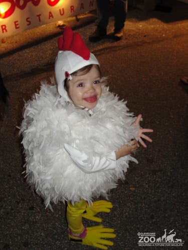 2012 - Child as Chicken