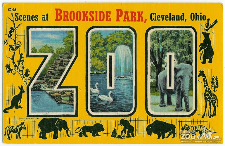 1954 - Postcard