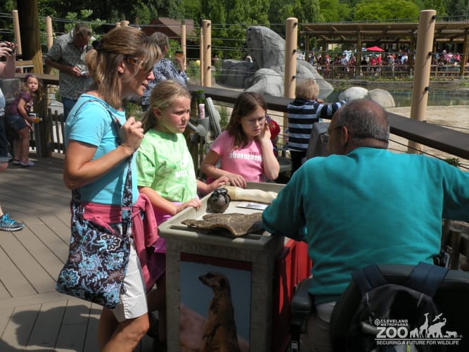 2011 Volunteer at AEC