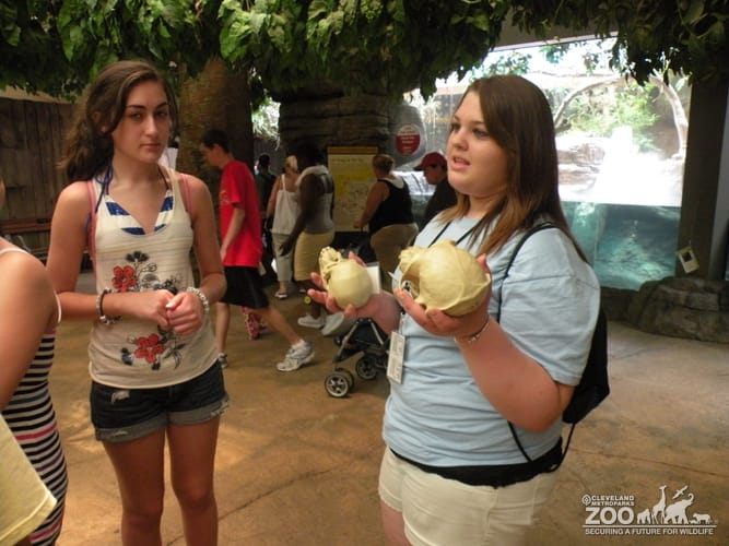 Zoo Crew Member on Grounds