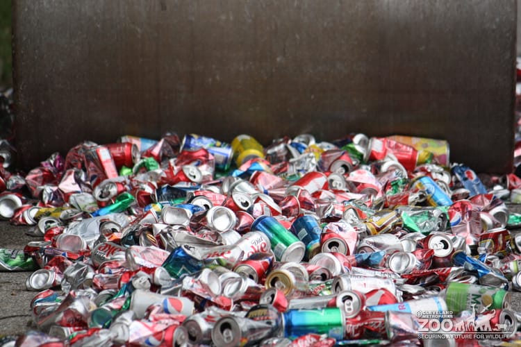 Father's Day: Let the Crushing Begin