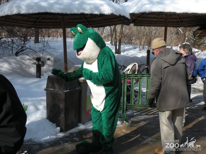 2014  Fairy Tales and Frogs