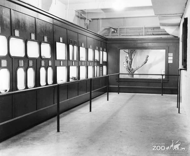 1953 - Reptile Collection