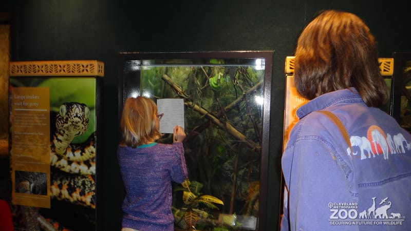 Home School Observer 2