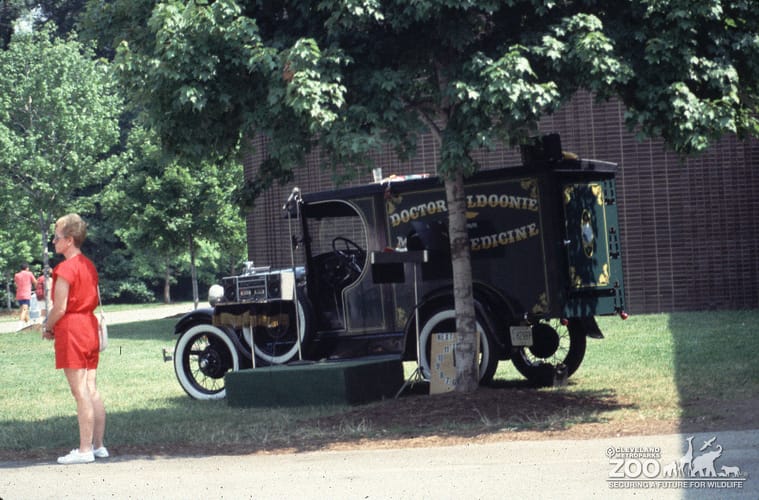1989 - Order of Alhambra 2