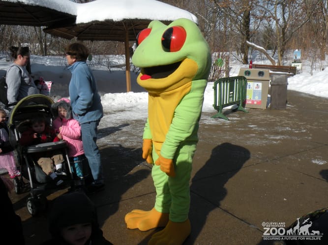 2014 - Volunteer in Frog Costume