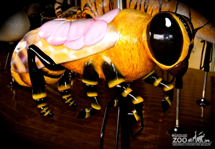 Honeybee - Carousel